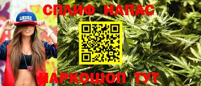a pvp Будённовск