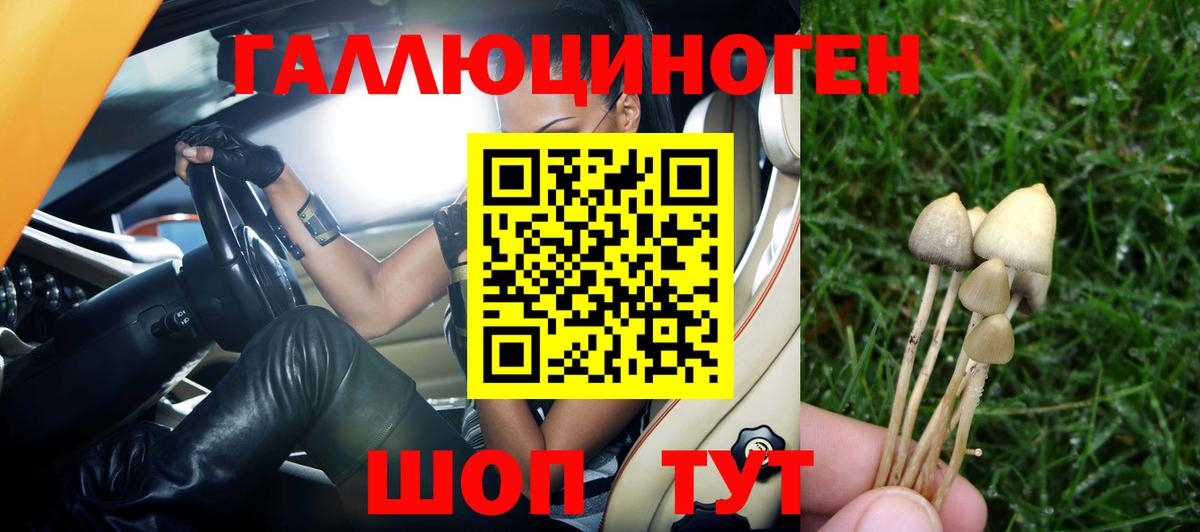 Псилоцибиновые грибы ЛСД  Псилоцибиновые грибы Magic Shrooms  Вход с VPN  Мытищи 